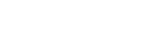 Camel Active
