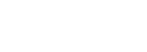 Fruit Tea